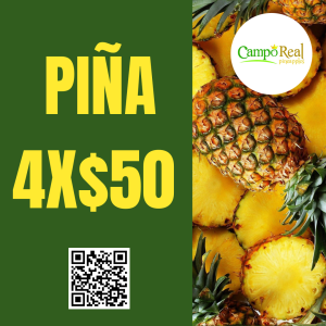 Piña en Cancún