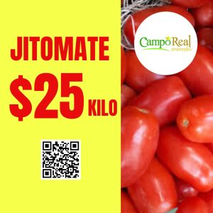 Jitomate en Cancún